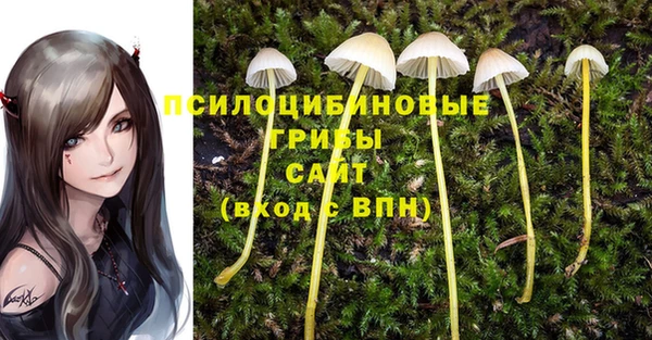 Альфа ПВП Заводоуковск
